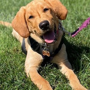 Meet your Posher, Eliza